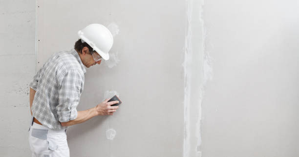 Best Drywall Sanding and Smoothing  in Webster City, IA