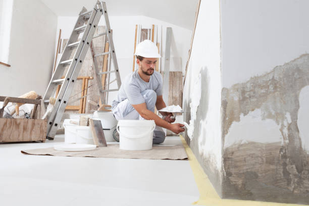 Best Eco-Friendly and Low-VOC Painting  in Webster City, IA