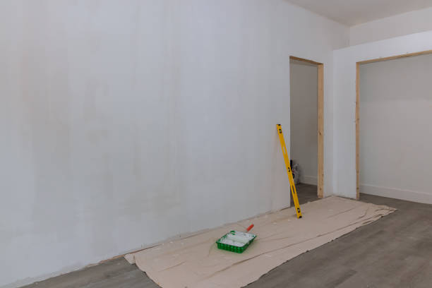 Best Drywall Removal and Disposal  in Webster City, IA