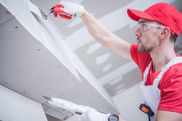 Best Trim and Molding Painting  in Webster City, IA